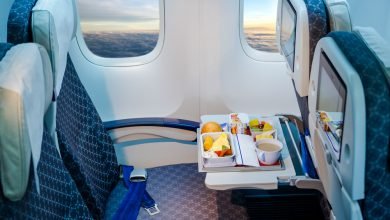 Trends in In-Flight Meals